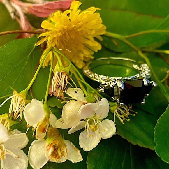 Asscher Charcoal Gem set in silver - Picture 12 of 12